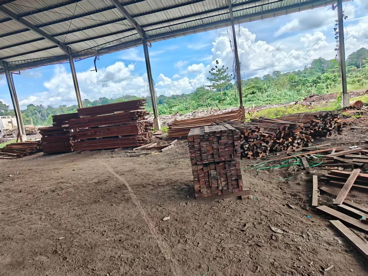 Wood processing area โ outdoor timber yard with sawn lumber stacks and forested hillside background
